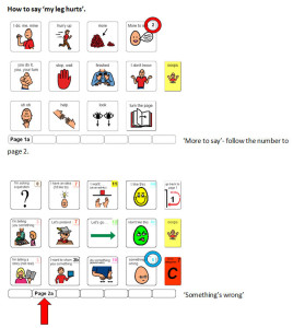How I Do It: Using PODD books and Aided Language Displays with Young Learners with Autism Spectrum Disorder