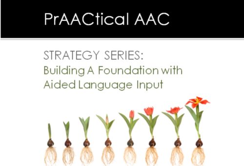 Strategy of the Month: Aided Language Input