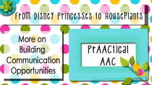 From Disney Princesses to Houseplants: More on Building Communication Opportunities