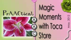 Magic Moments with Toca Store