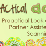 A PrAACtical Look at Partner Assisted Scanning