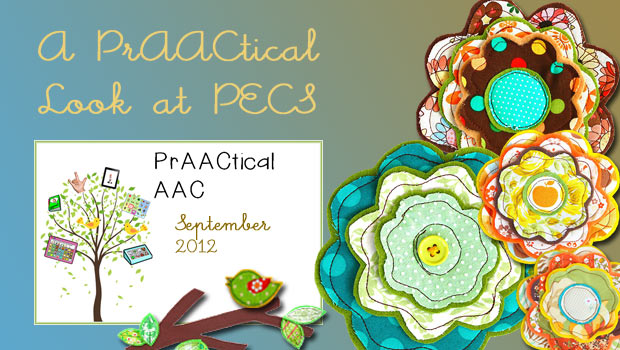 A PrAACtical Look at PECS