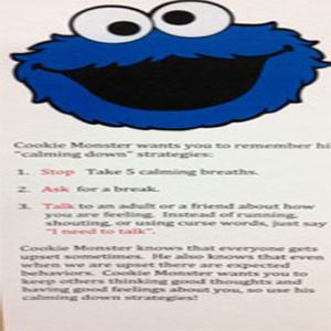 Cookie Monster Self Regulation