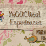 PrAACtical Experiences