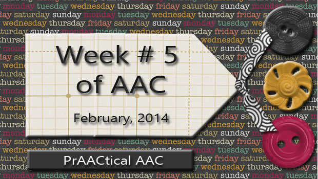 AAC Posts from PrAACtical Week #5, January 2014