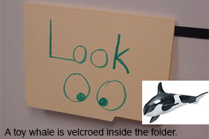 Look Folder with toy whale inside