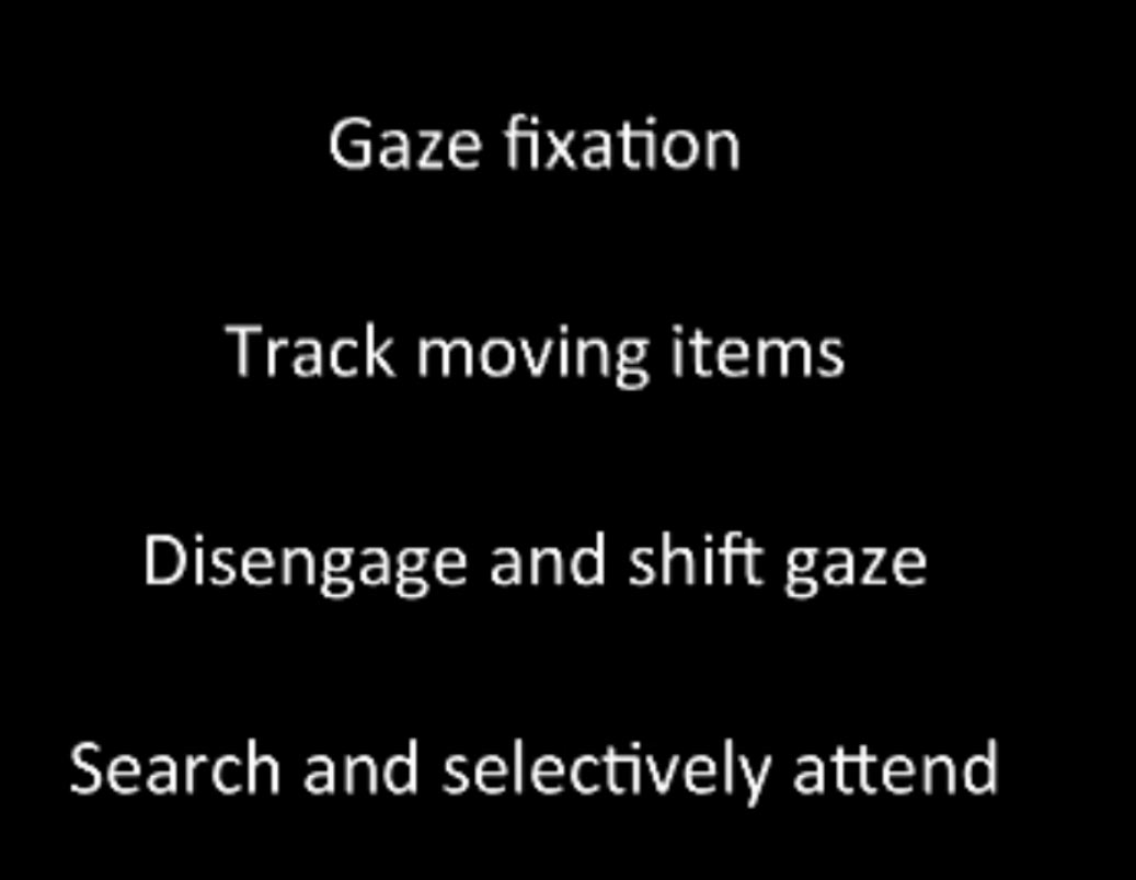 Watch It Wednesday: Eye Gaze Research