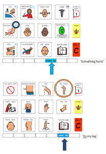 How I Do It: Using PODD books and Aided Language Displays with Young Learners with Autism Spectrum Disorder