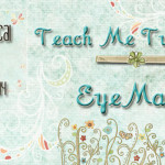 Teach Me Tuesday - DynaVox EyeMax