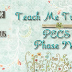 PECS Phase IV+ by Pyramidal Education Consultants