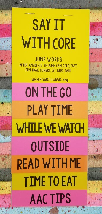 PrAACtical Resources: Core Vocabulary Flipbook for June Words
