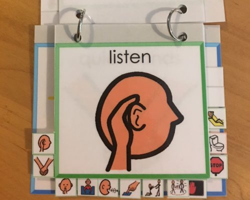 PrAACtically Visual: Supports for Self-regulation & Understanding Expectations