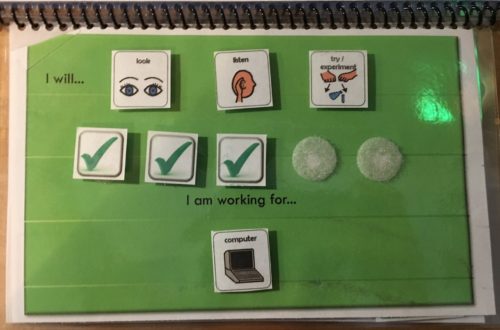PrAACtically Visual: Supports for Self-regulation & Understanding Expectations