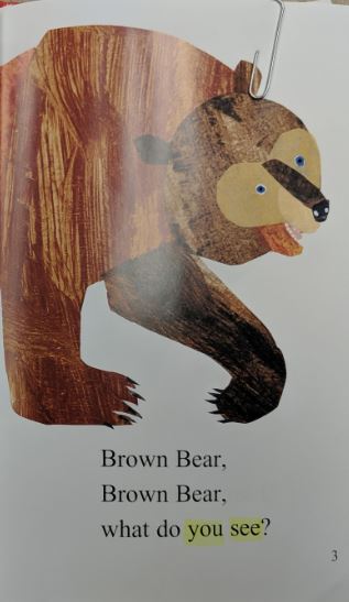Image from the Book Brown Bear Brown Bear