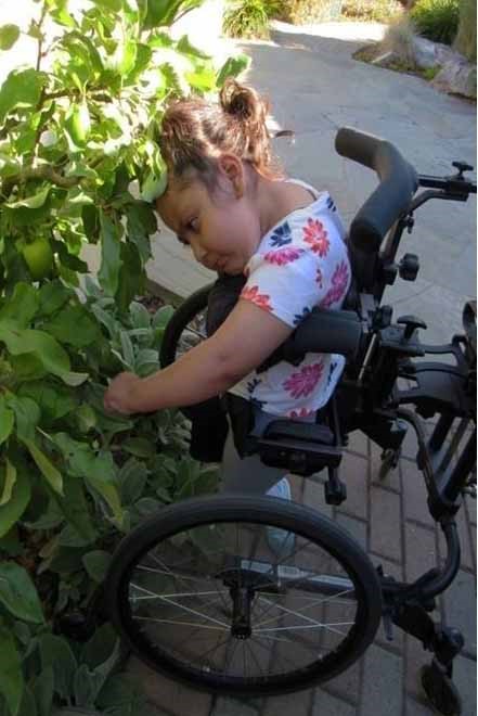 Preschool child in stander touching plants