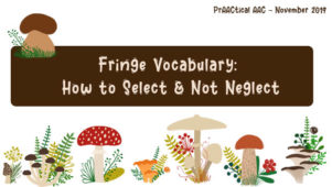 Fringe Vocabulary: How to Select and Not Neglect