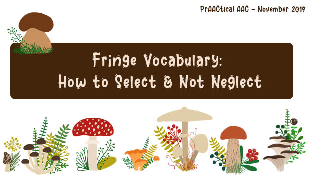 Fringe Vocabulary: How to Select and Not Neglect : PrAACtical AAC