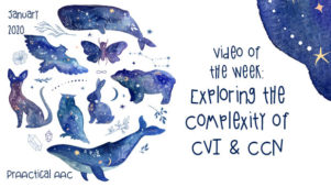 Video of the Week: Exploring the Complexity of CVI and CCN