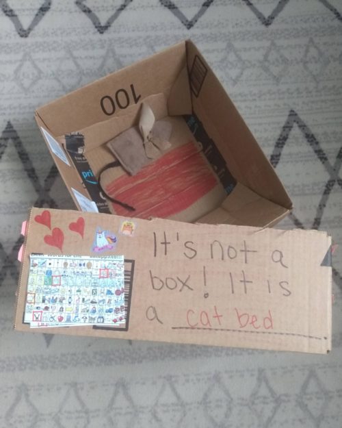 TELL ME About It: AAC Learning with ‘Not a Box’!