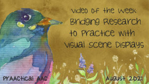 Video of the Week: Bridging Research to Practice with Visual Scene Displays