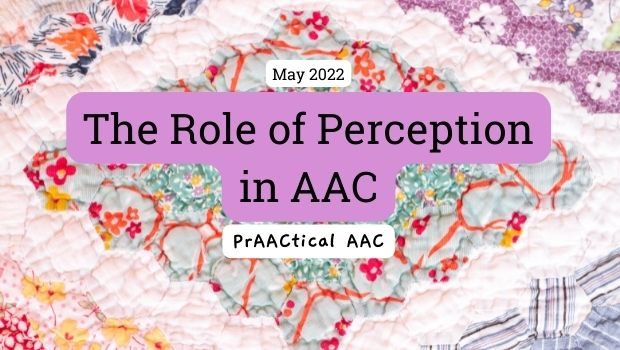 The Role of Perception in AAC