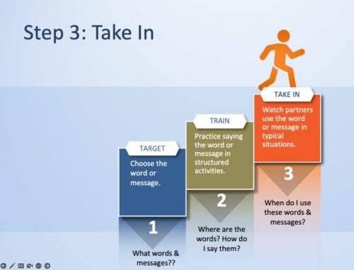 AAC Implementation Framework: Step 3 "Take In"