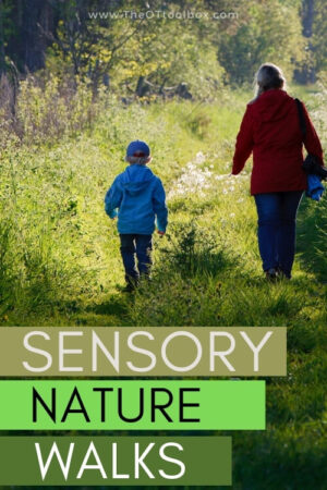 Sensory Nature Walk