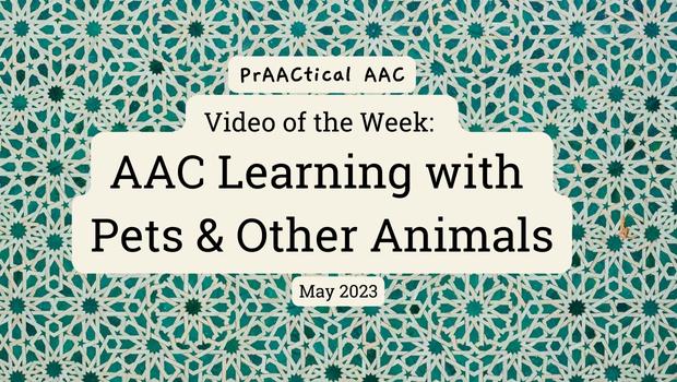 Video of the Week: AAC Learning with Pets & Animals