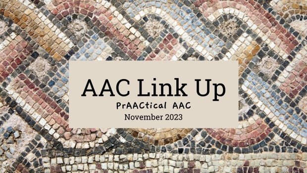 AAC Link Up - November 28