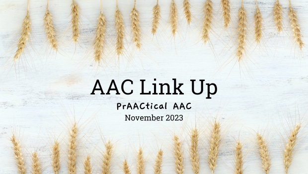 AAC Link Up - November 21