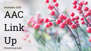 AAC Link Up - December 2